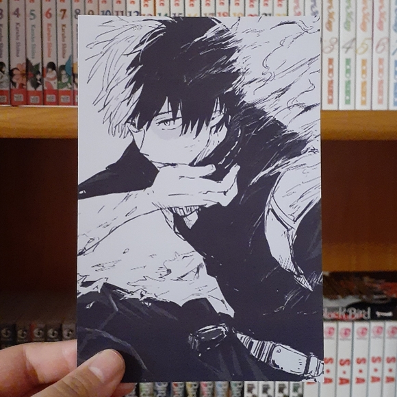 My Hero Academia: Todoroki Photo #2 - Picture 2 of 2